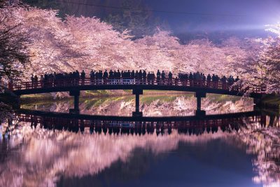 hirosaki cerezo