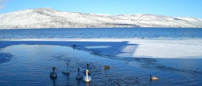 lago akan