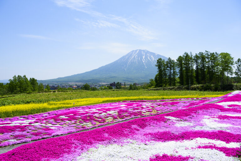 Niseko primavera