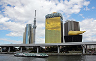 Crucero por el río Sumida