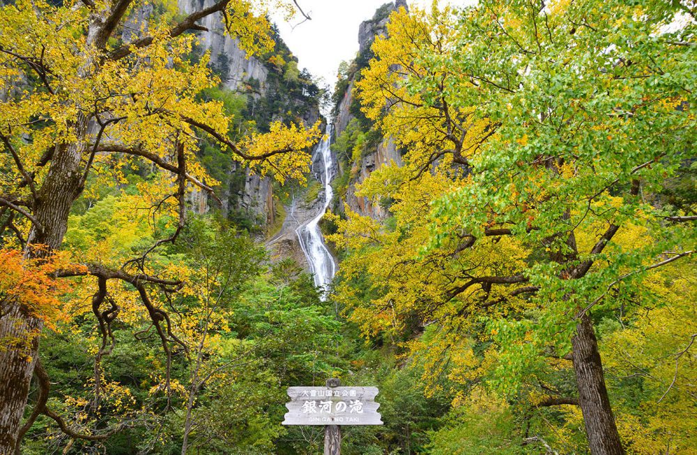 cascada ginga
