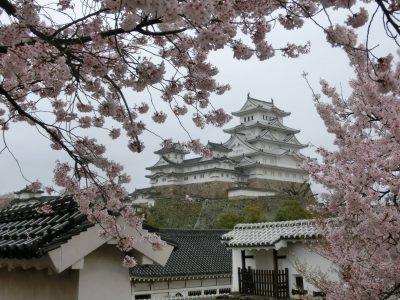 castillo Himeji con cerezo