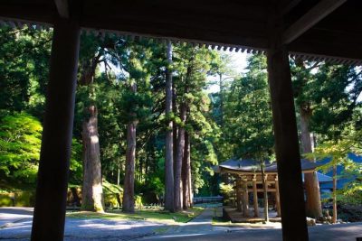 Fukui