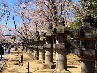 parque Ueno