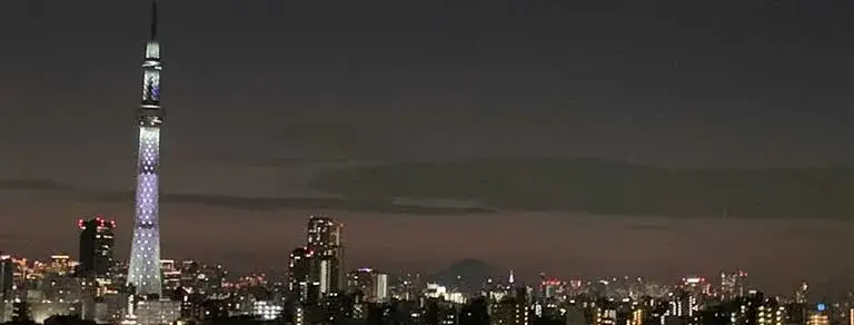 Viaje a Japón, Paquete de 8 días