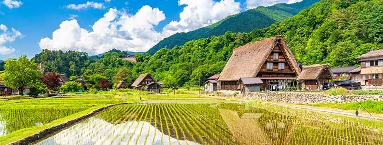 Ruta del Samurai, paquete de Japón 12 días