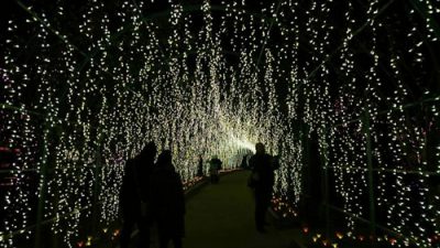 Ashikaga flower park