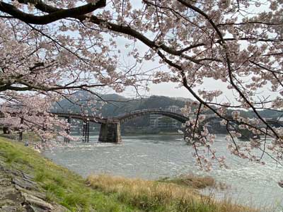 El Puente Kintai | Guía de Iwakuni