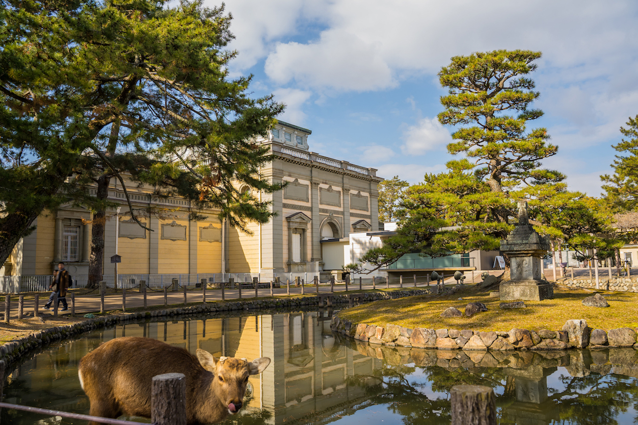 Donde va a visitar en Nara ?