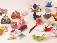 Origami : Papiroflexia