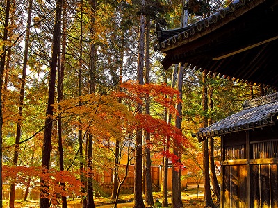 El otoño en Japón (Aki)