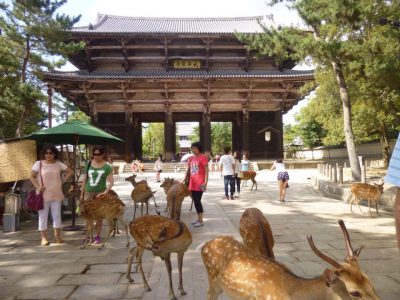 Templo Todaiji y los ciervos